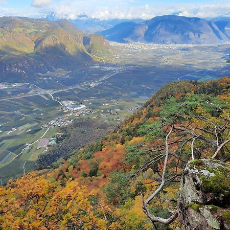 Tinnerhof Appiano Sulla Strada Del Vino Luaran gambar