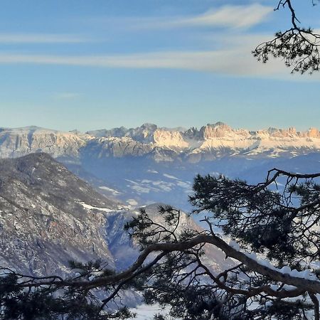 Tinnerhof Appiano Sulla Strada Del Vino Luaran gambar