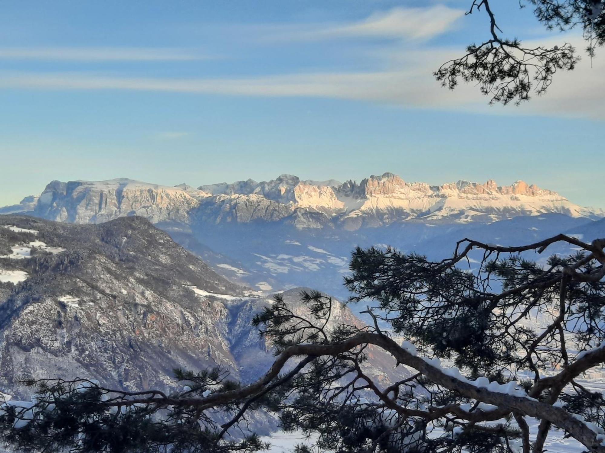 Tinnerhof Appiano Sulla Strada Del Vino Luaran gambar
