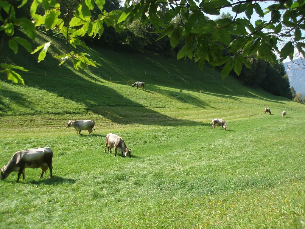 Tinnerhof Appiano Sulla Strada Del Vino Luaran gambar