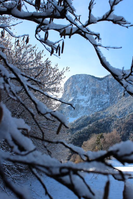 Tinnerhof Appiano Sulla Strada Del Vino Luaran gambar
