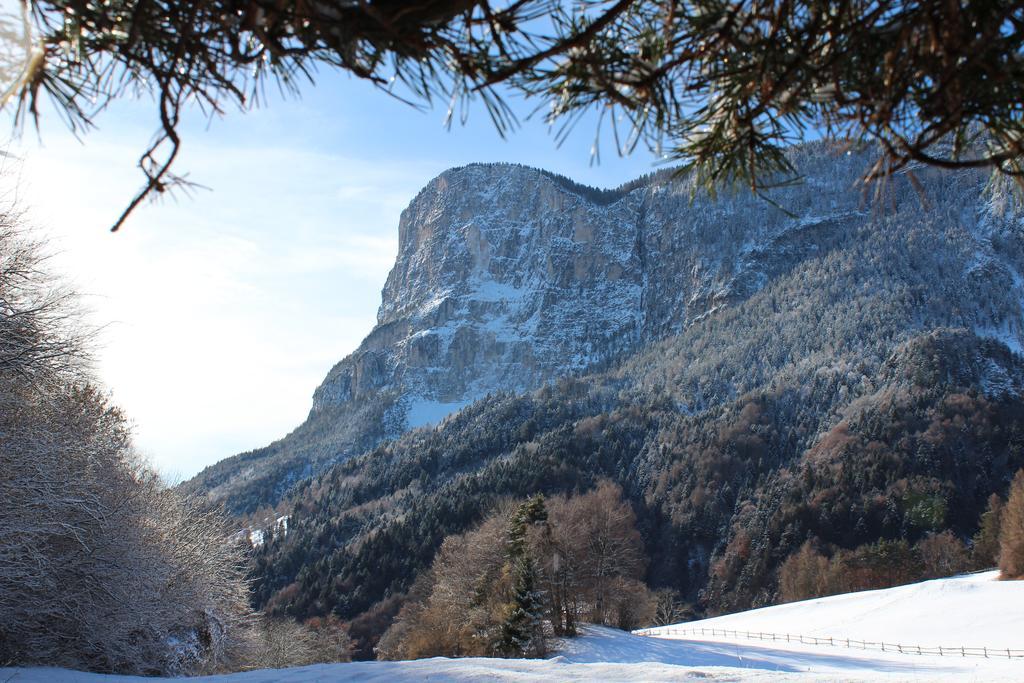 Tinnerhof Appiano Sulla Strada Del Vino Luaran gambar