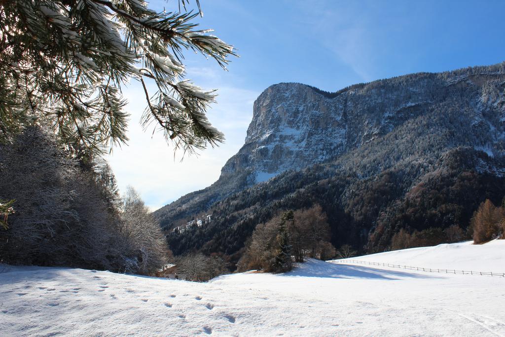 Tinnerhof Appiano Sulla Strada Del Vino Luaran gambar