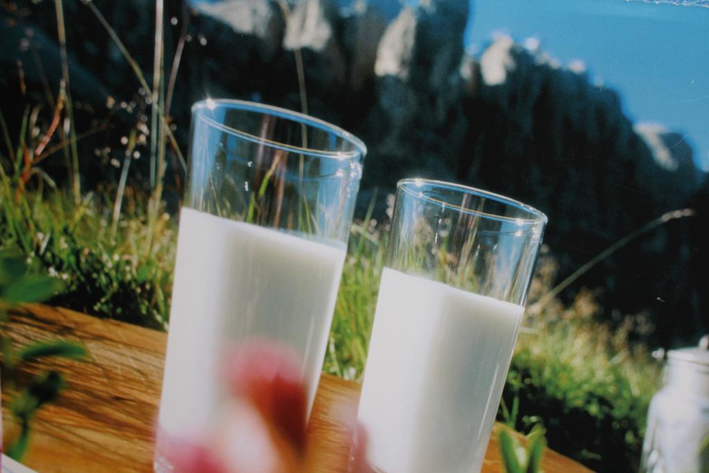 Tinnerhof Appiano Sulla Strada Del Vino Luaran gambar