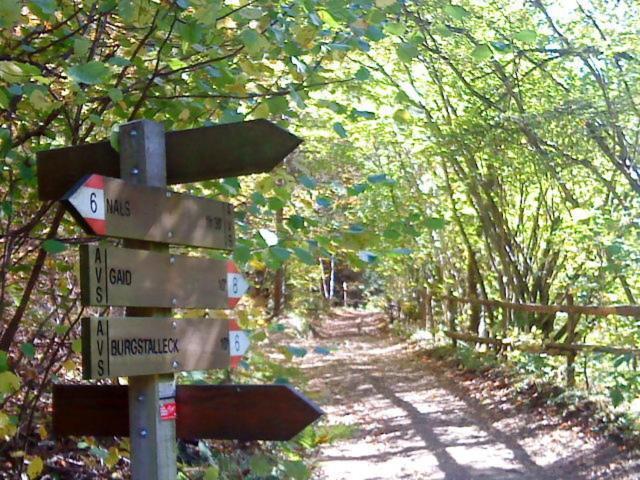 Tinnerhof Appiano Sulla Strada Del Vino Luaran gambar